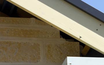 soffit repair Welltown